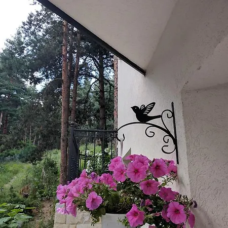 Bendida 公寓